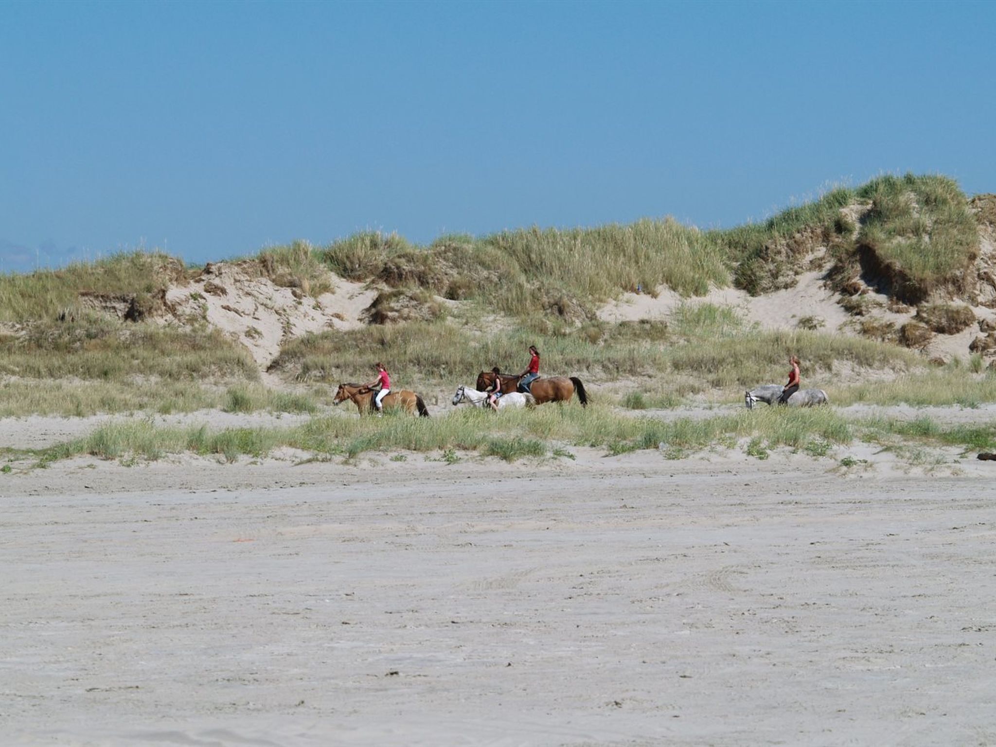 Une plage de sable avec des dunes et une végétation clairsemée.