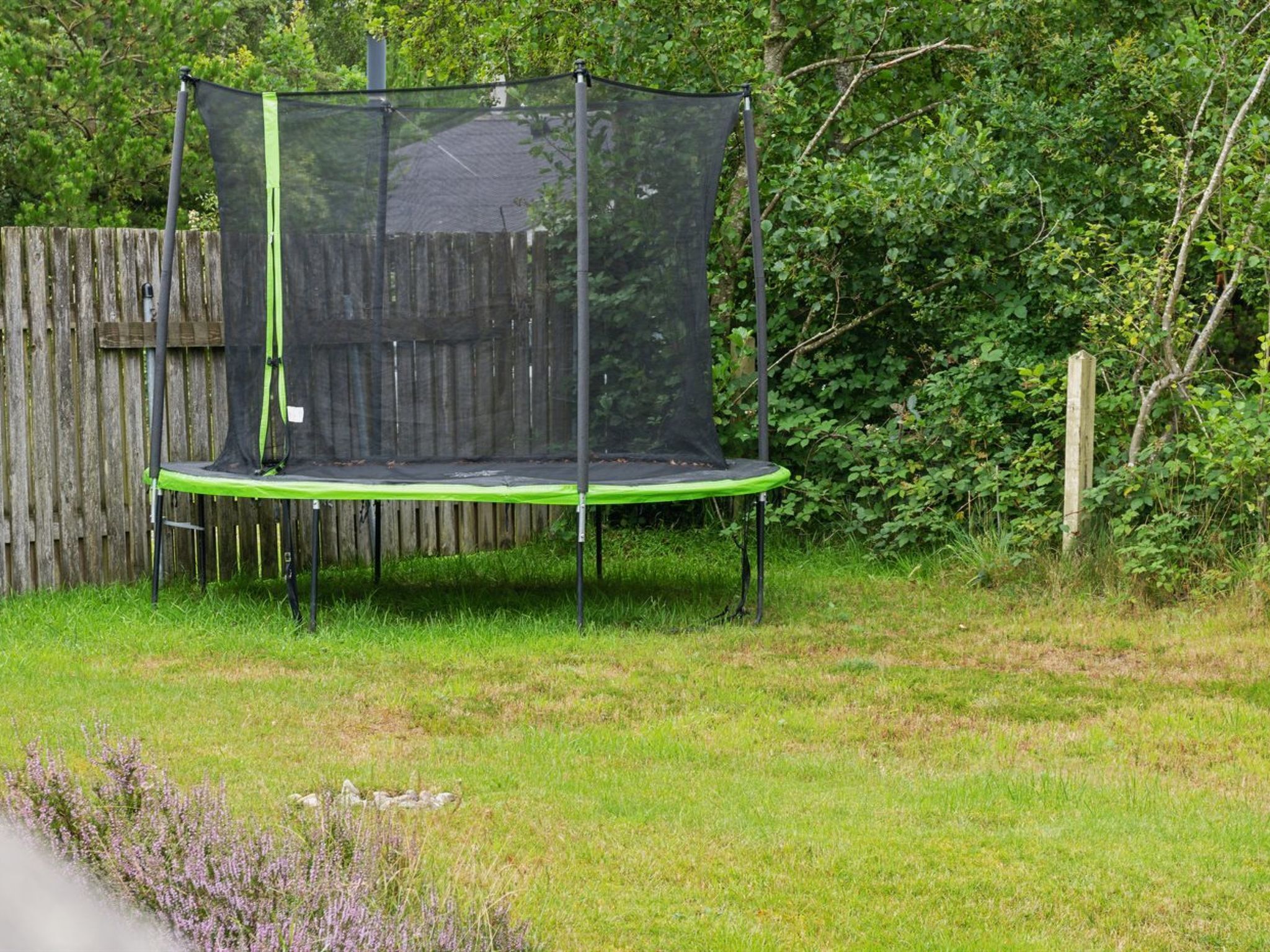 Een trampoline met veiligheidsnet in een gazon, omgeven door een houten hek en weelderige beplanting.