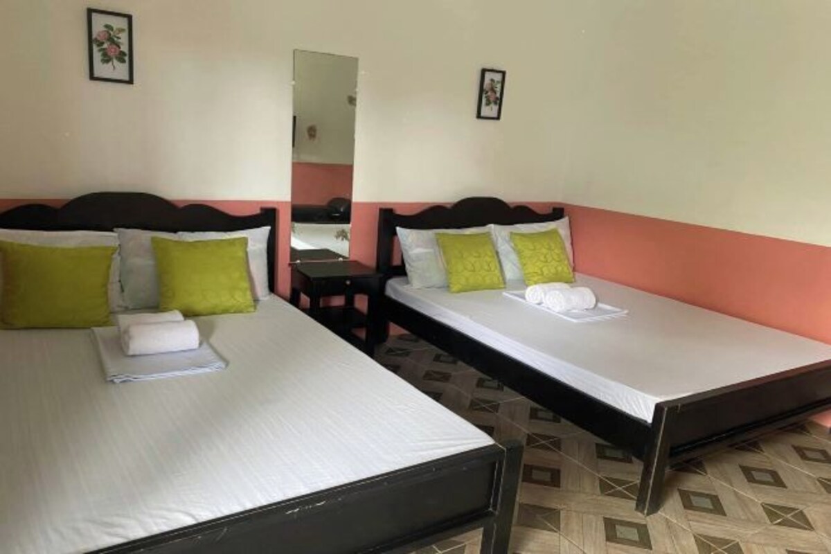 A hotel room with two single beds, each with a white mattress and green pillows.