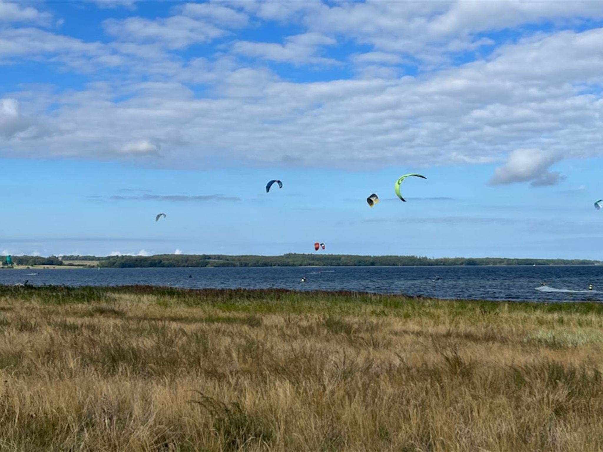 A coastal landscape with a grassy foreground and a body of water in the background.