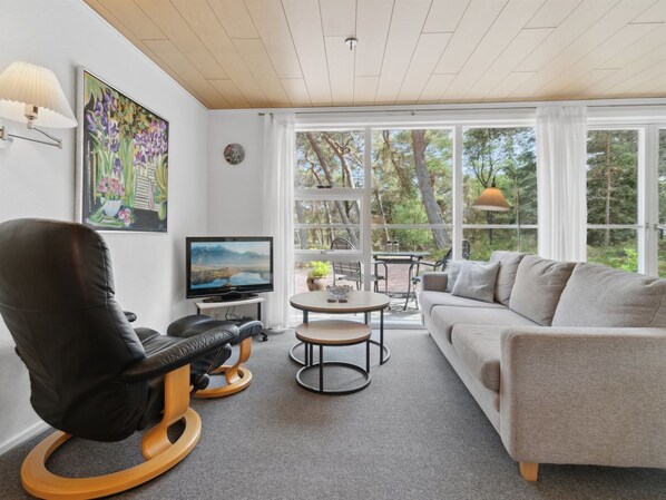 Televisión y chimenea 