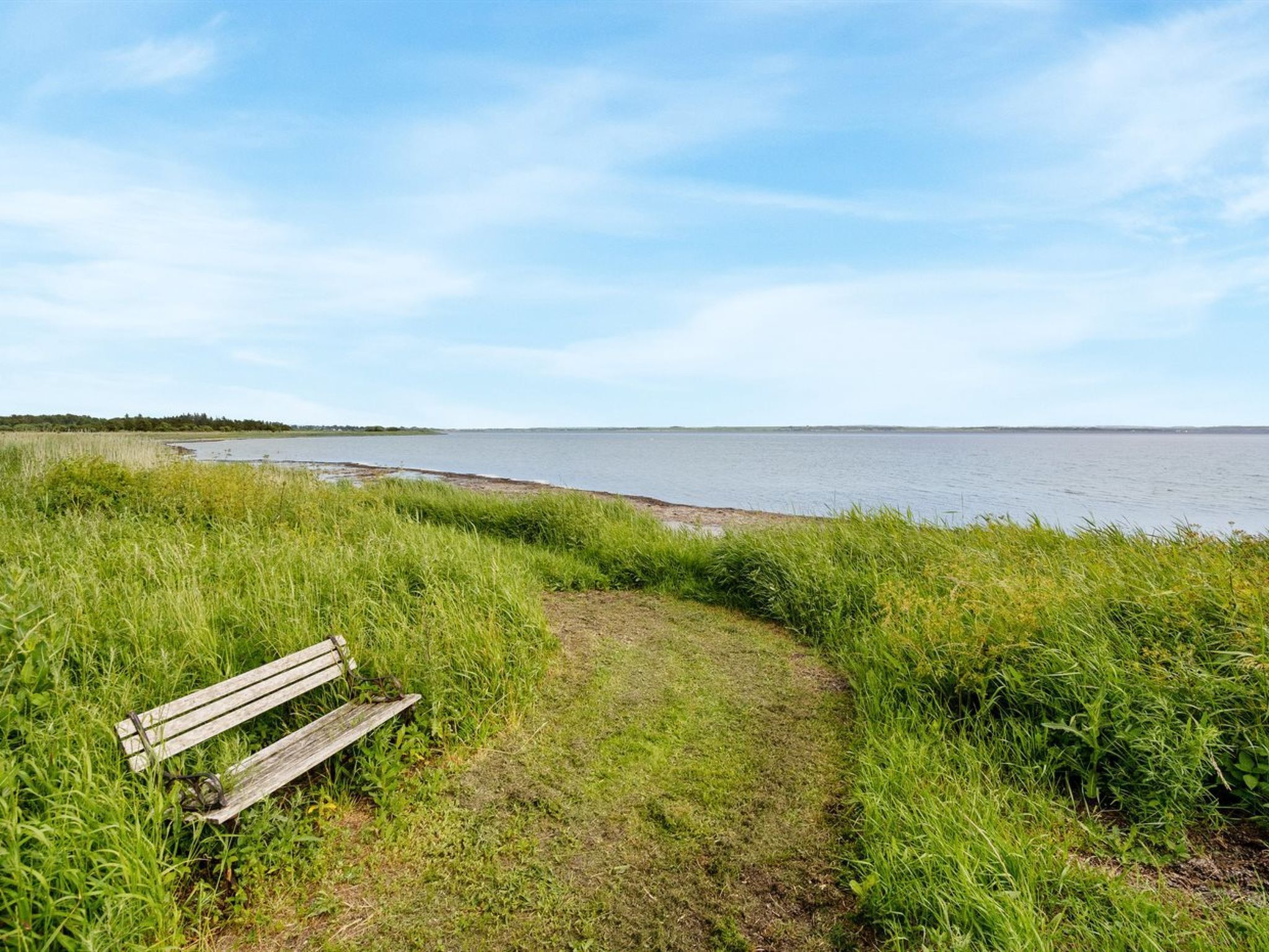 A grassy path leading to a bench overlooking a body of water.