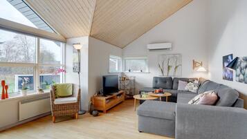 Télévision, cheminée, lecteur de DVD