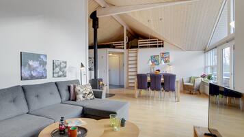 Télévision, cheminée, lecteur de DVD