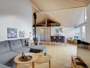 TV, fireplace, DVD player