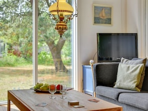 TV, fireplace, DVD player