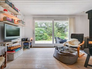 TV, fireplace, DVD player