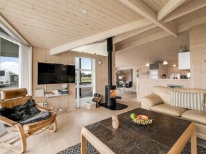 تلفزيون، مدفأة