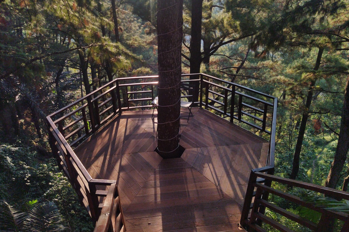 A wooden deck with railings, surrounded by trees.