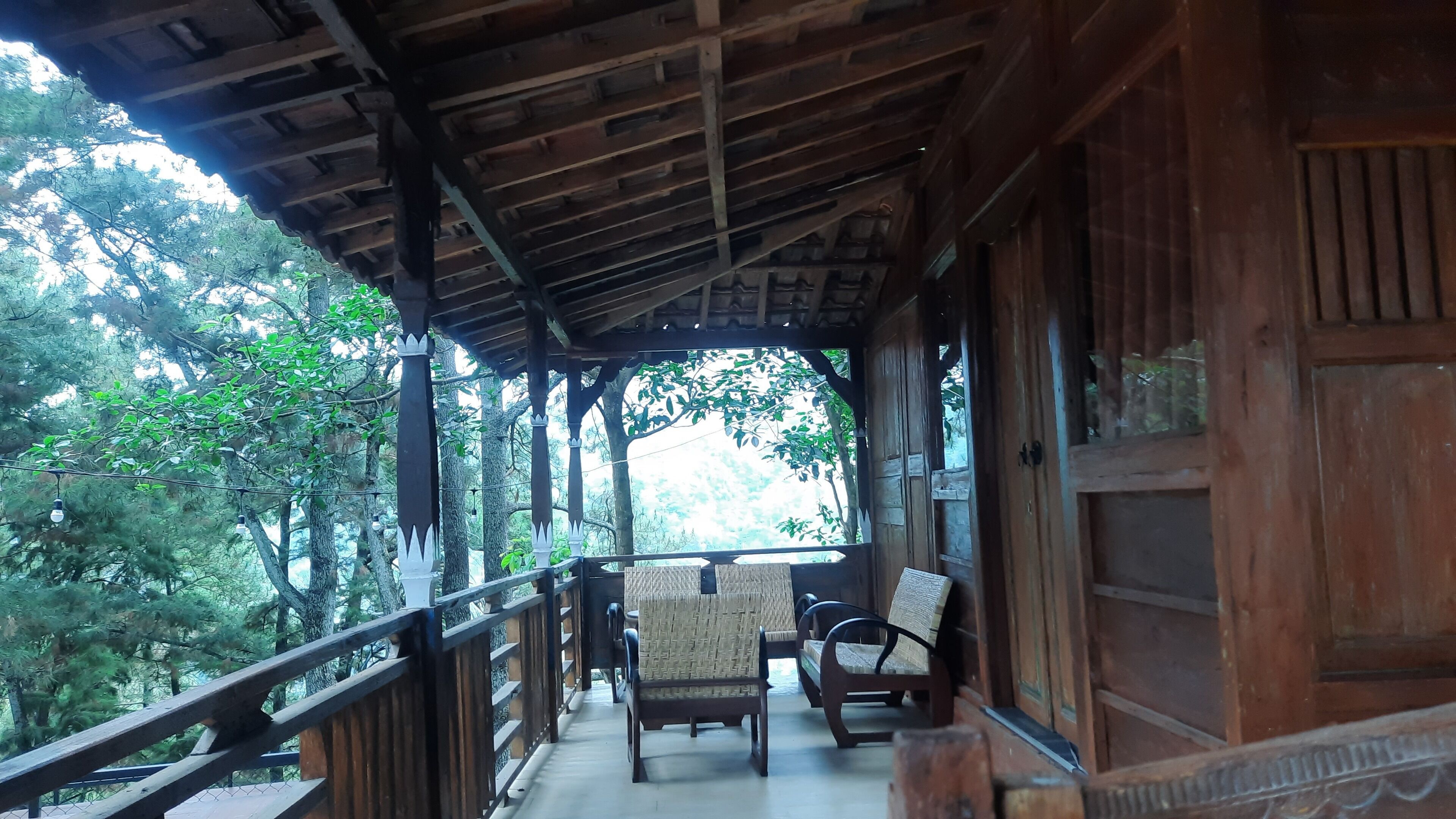 A wooden balcony with a view of trees, two wicker chairs, and a wooden door.