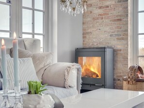 Televisión y chimenea