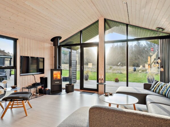 TV, fireplace, DVD player