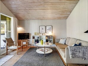 TV, lareira, DVD player