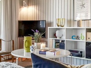 Télévision, cheminée, lecteur de DVD