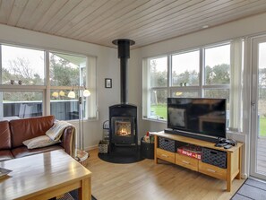 Fernseher, Kamin