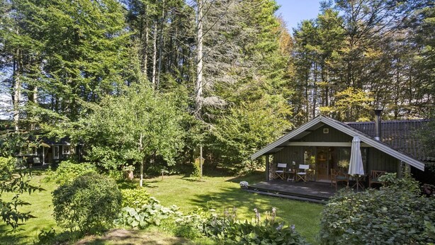 Een chalet met terras en zitgedeelte buiten, omgeven door een dicht bos.