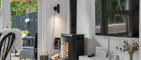 TV, fireplace