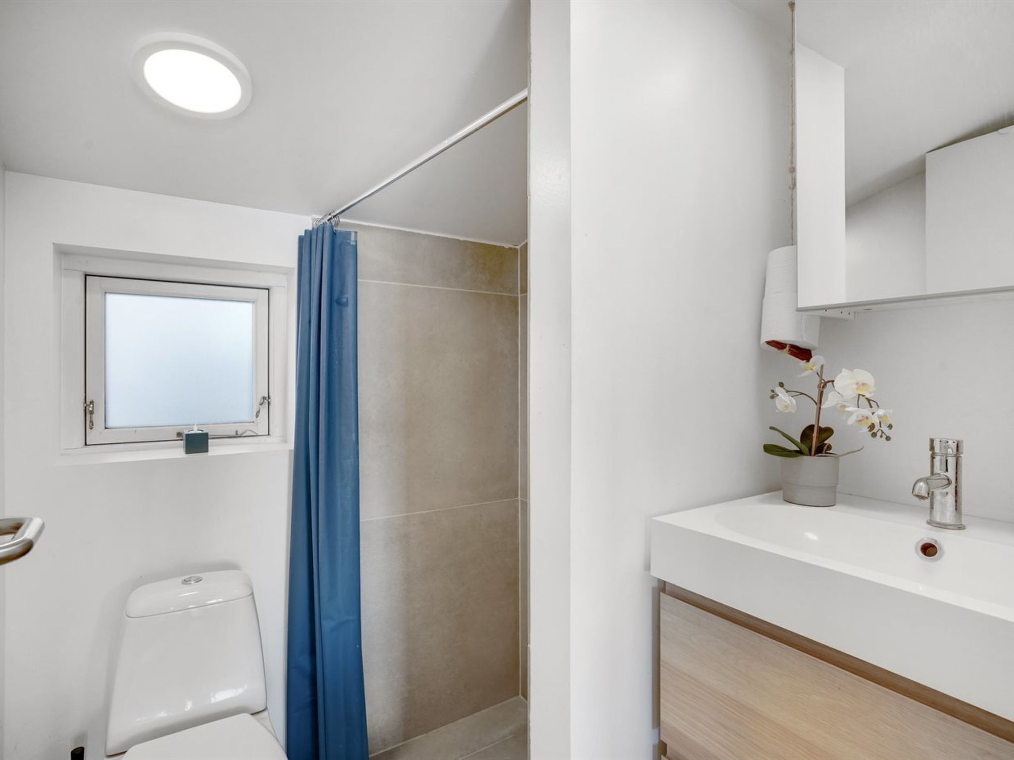 Une salle de bain avec une douche, des toilettes, un lavabo avec un miroir et une orchidée en pot.