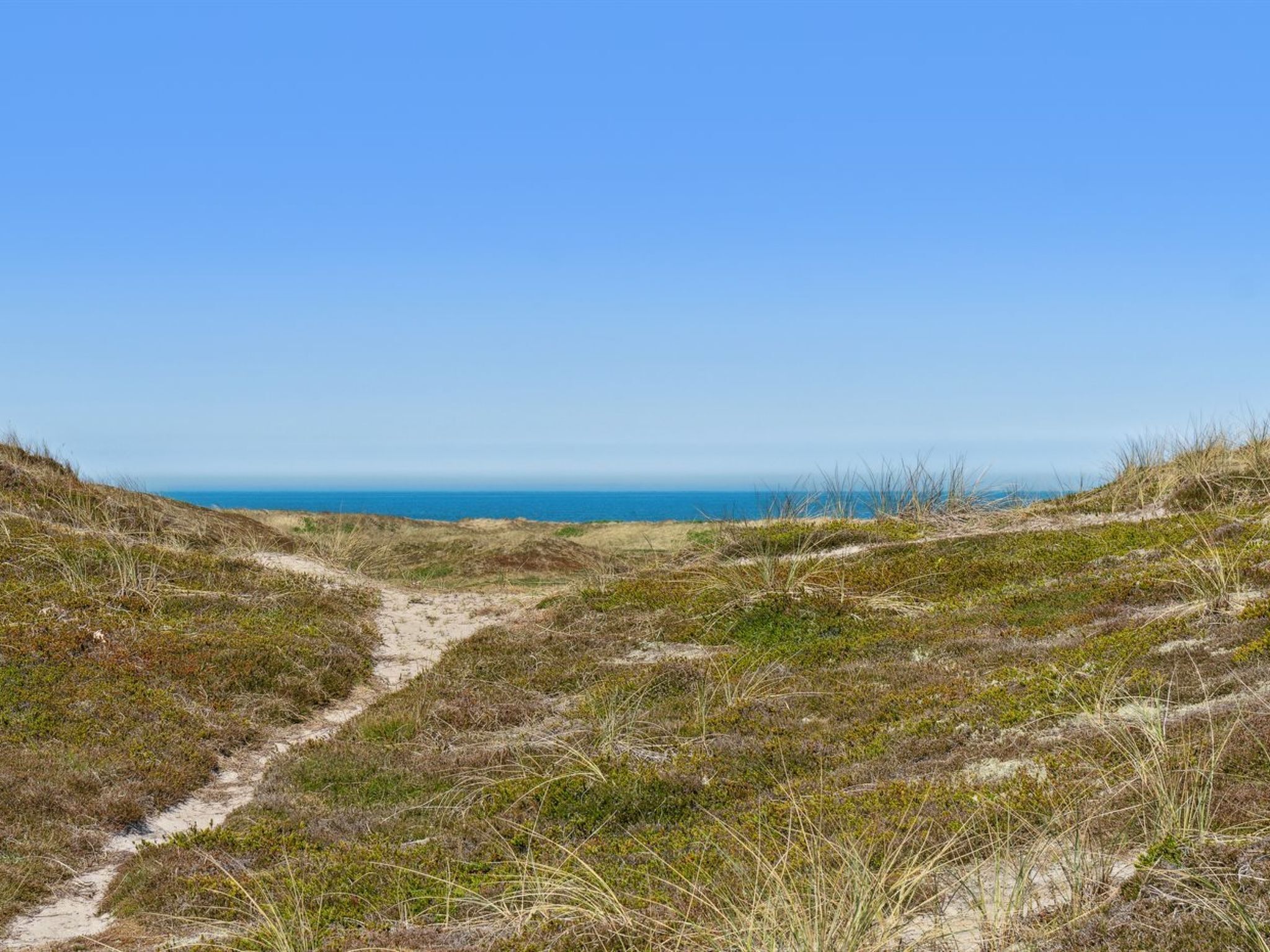 Ein Küstenpfad, der zum Meer führt, mit Dünen und spärlicher Vegetation.