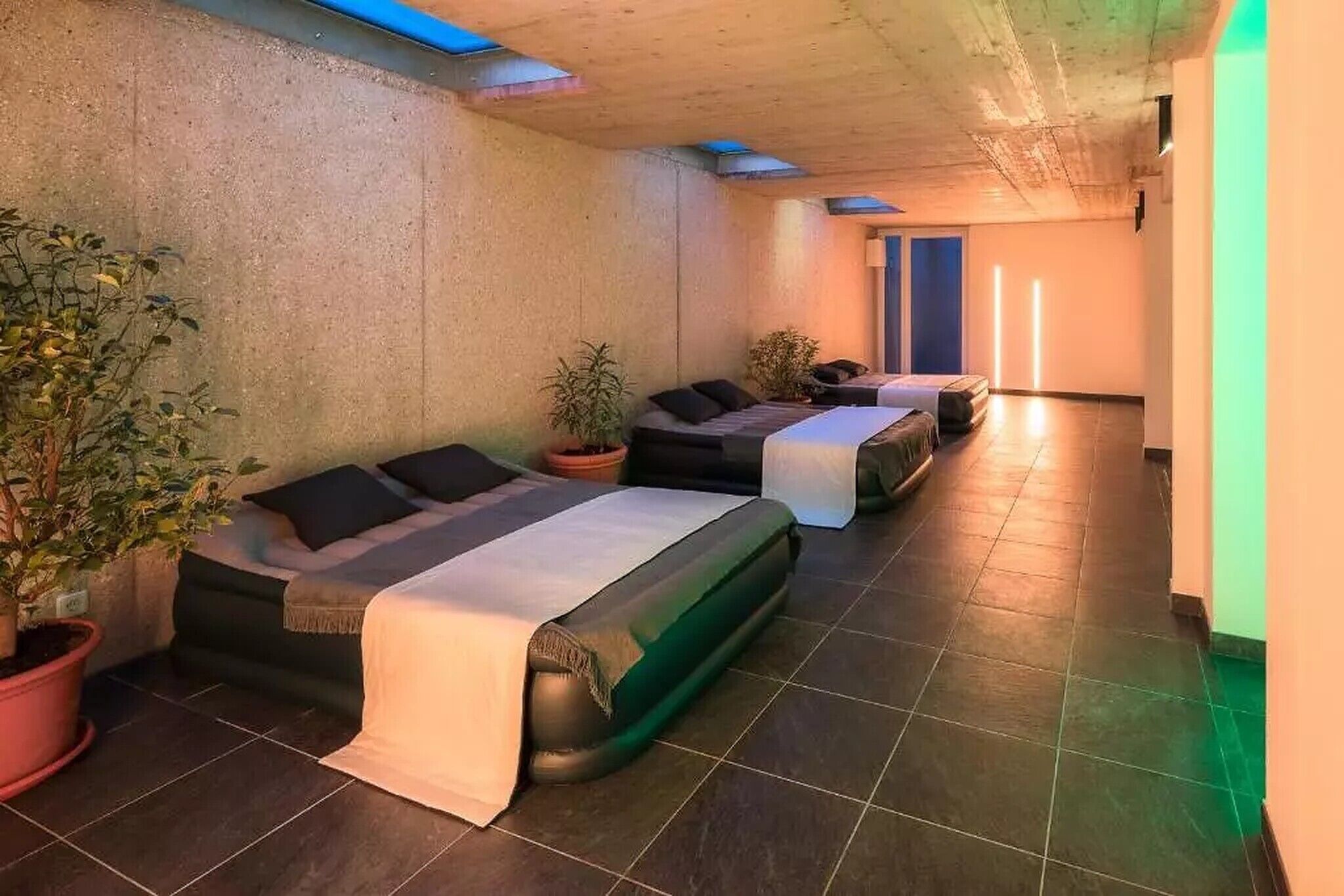 A spa room with two massage beds, potted plants, and a tiled floor.
