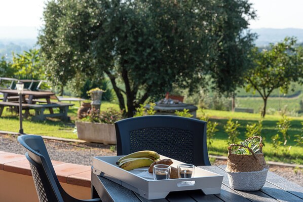 Outdoor dining - Holiday Home 'Girasole Apartment' with Shared Pool, Private Terrace and Air Conditioning (Cerreto Guidi)