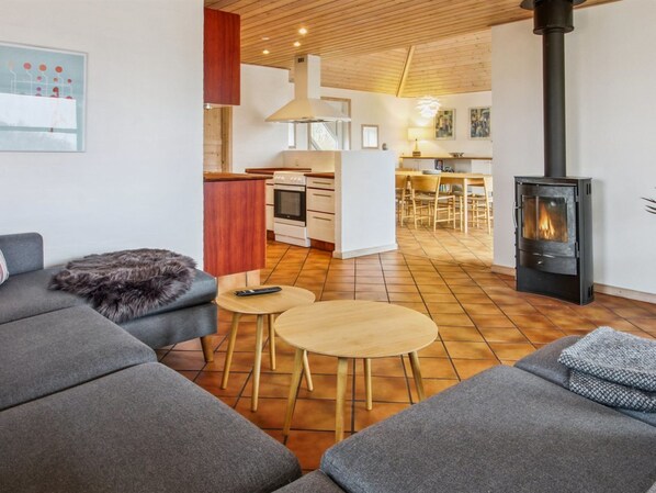 TV, fireplace, DVD player