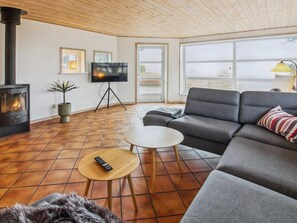 TV, fireplace, DVD player