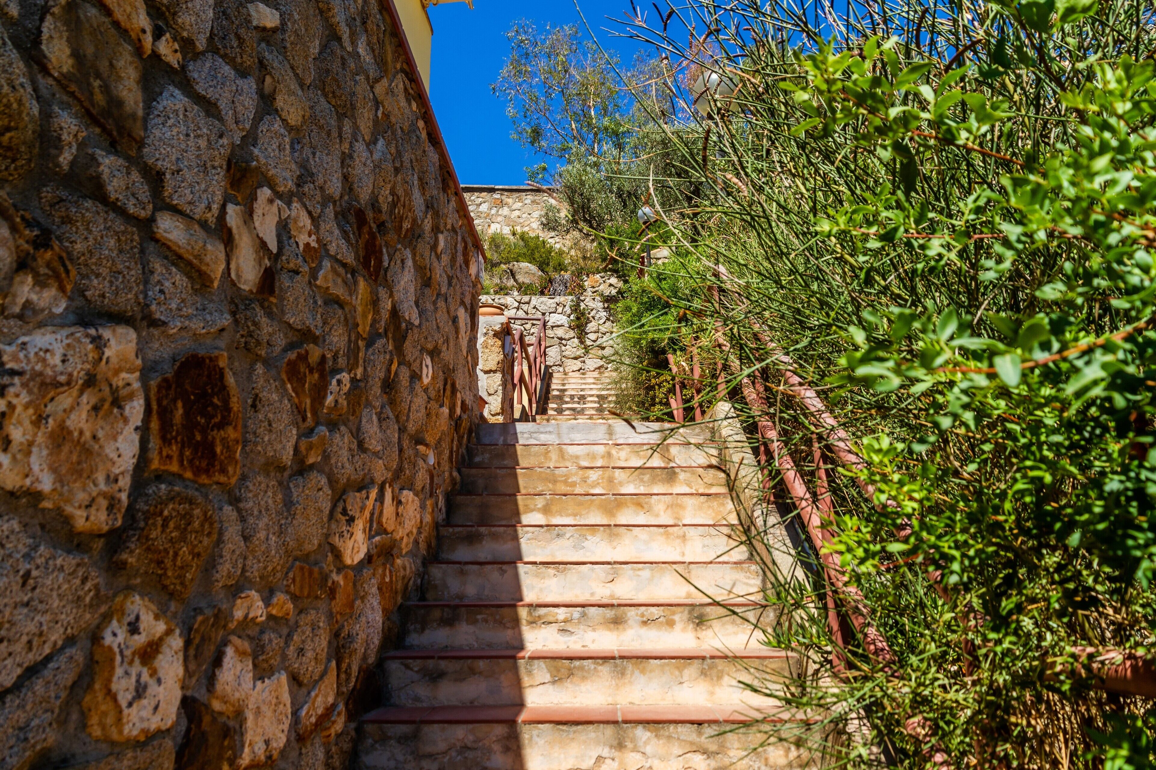 Parco della struttura