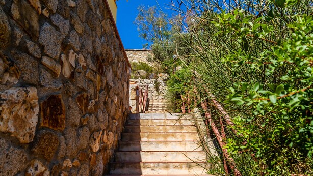 Una escalera de piedra que sube por una colina, rodeada de vegetación.