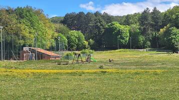 Children’s area