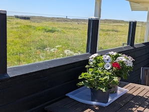 A wooden deck with a potted plant and a table.