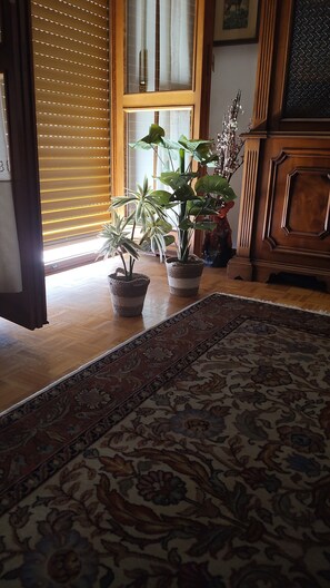 A room with a wooden floor, a patterned rug, and two potted plants.