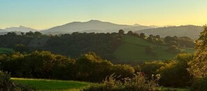 Un paysage rural caractérisé par des collines douces, une végétation luxuriante et des montagnes lointaines.