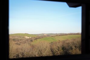 Panoramic Room | Garden view