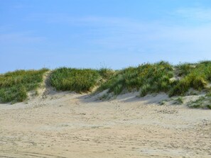 Een zanderig strand met duinen en schaarse begroeiing.