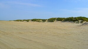 Zandstrand met duinen en schaarse begroeiing.