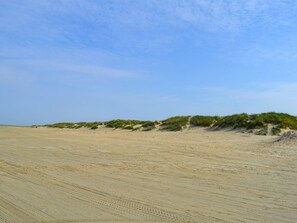 En sandstrand med sanddyner och gles vegetation.