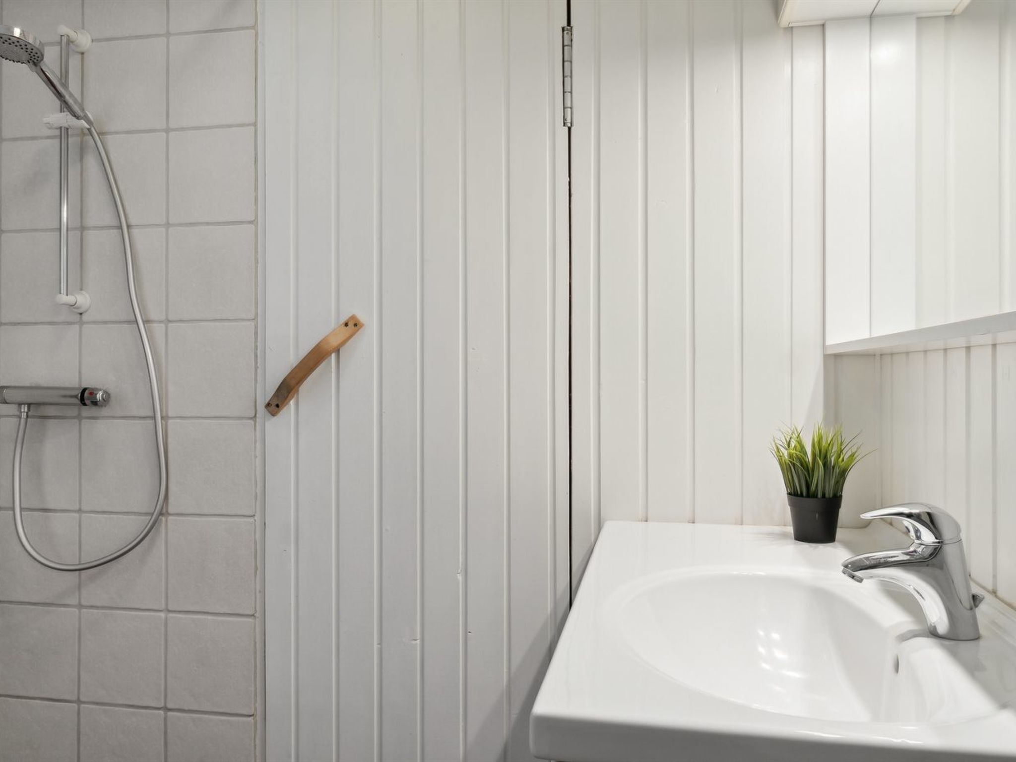 A bathroom with a white sink, a handheld showerhead, and a potted plant.