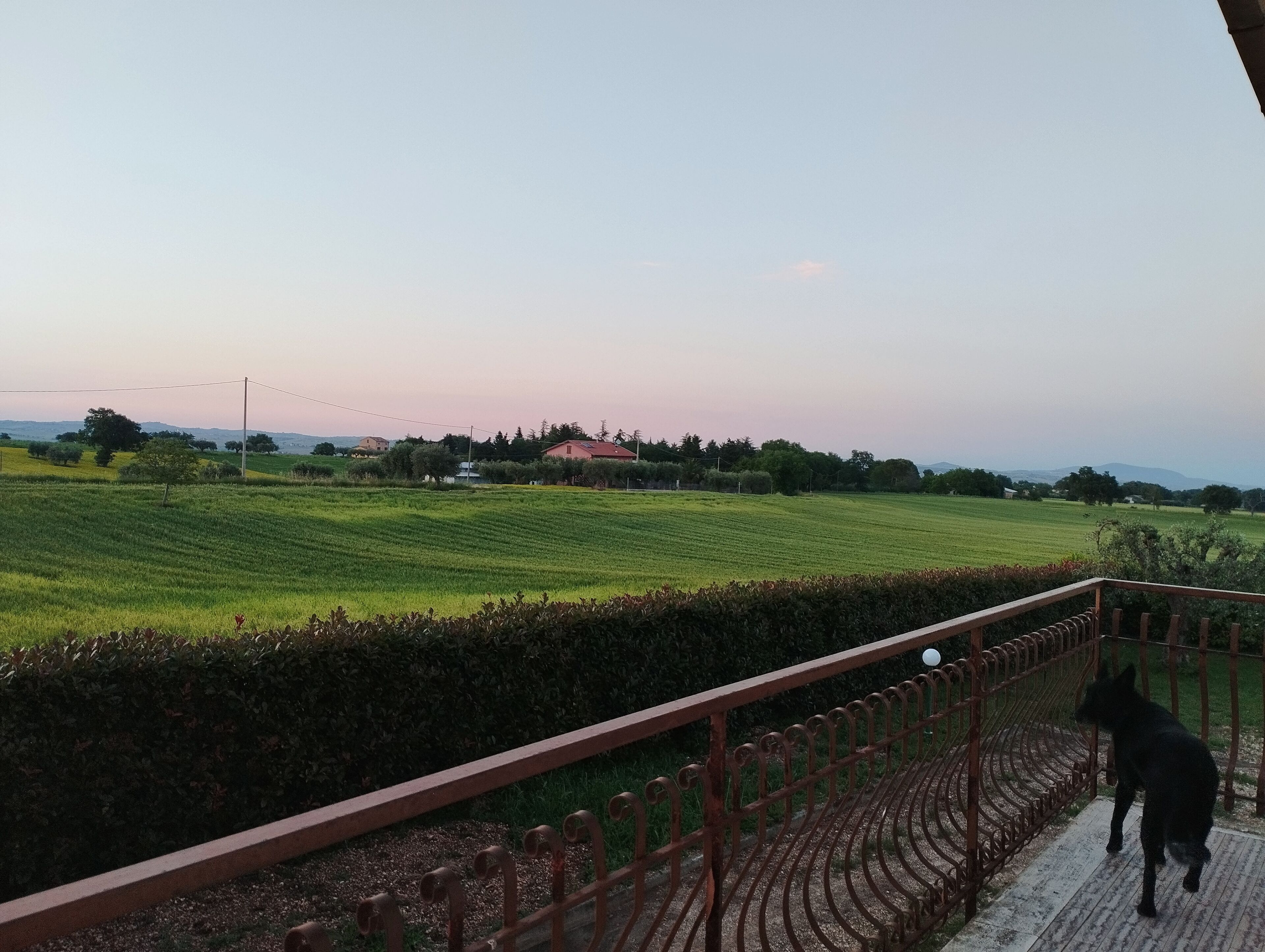 A view of a green field with a fence and a building in the distance.