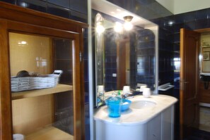 Shower, hair dryer, bidet, towels