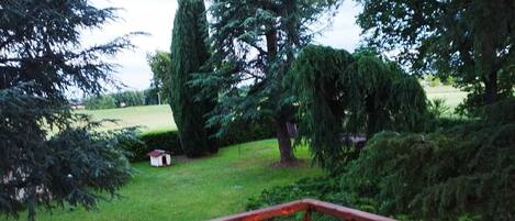 Parco della struttura