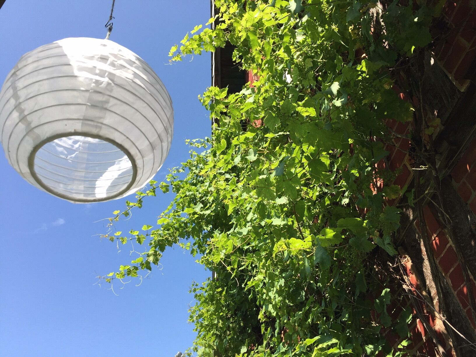 A hanging spherical light fixture against a clear blue sky, with a brick wall and green foliage in the foreground.