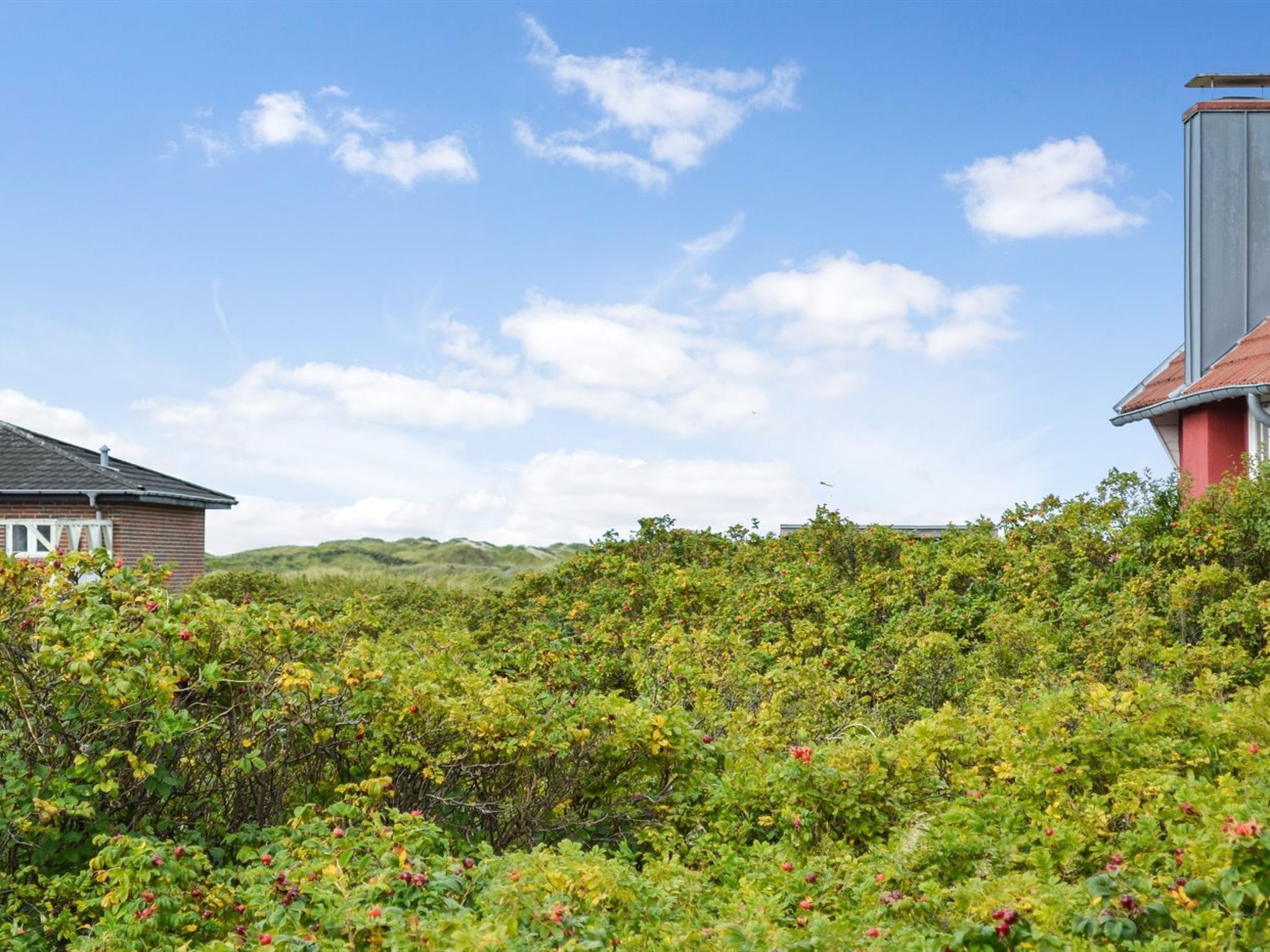 Une maison entourée d’une végétation dense et sous un ciel dégagé.