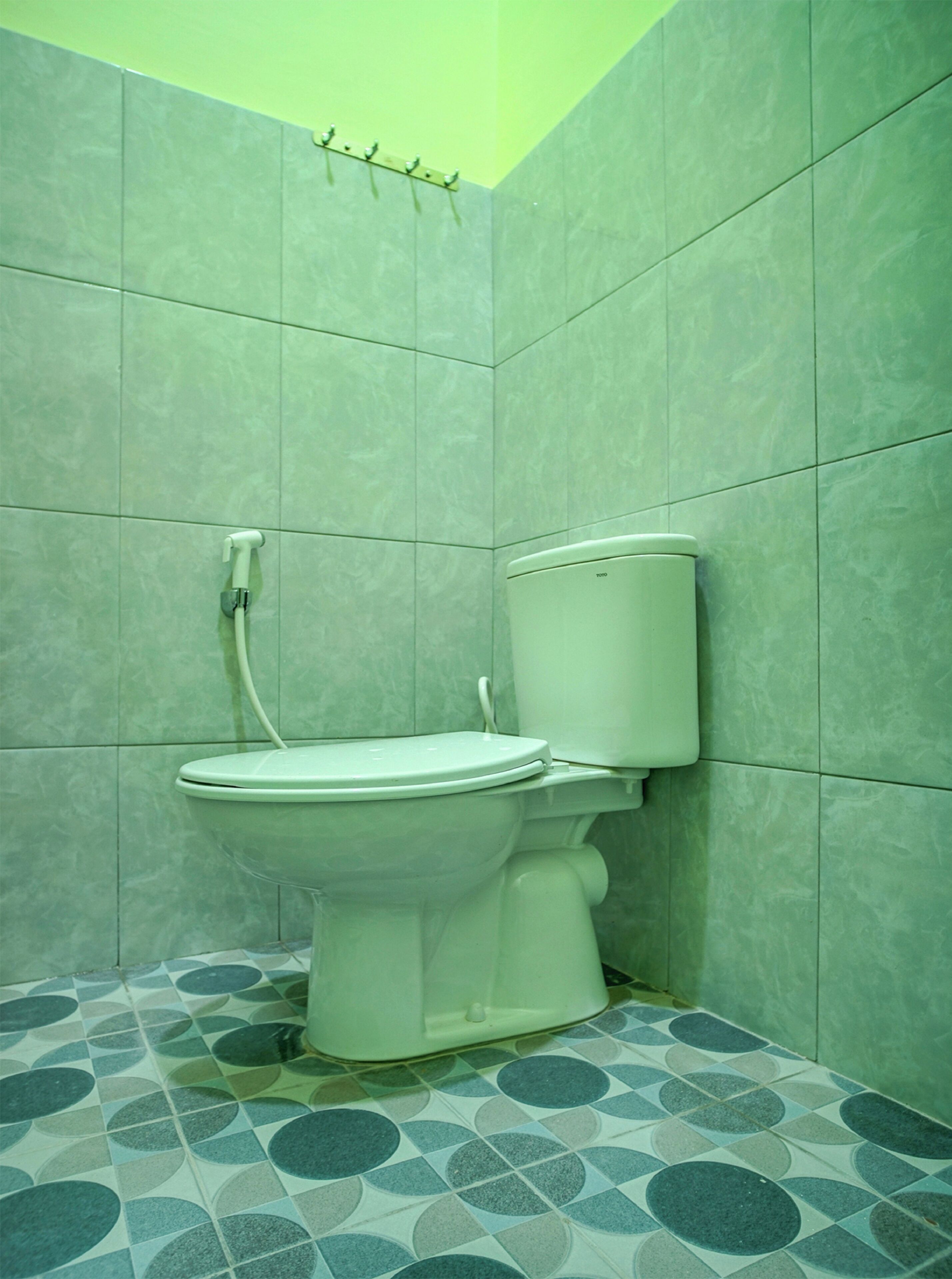 Ein Badezimmer mit Toilette, Dusche und einem Handtuchhalter an der Wand.