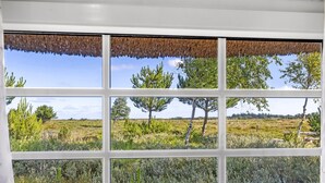 A window with a view of a natural landscape, including trees and grass.