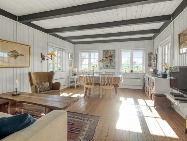 TV, fireplace, DVD player