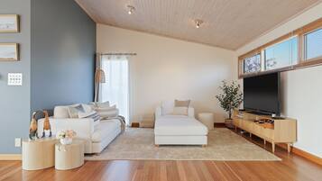 TV, fireplace, books