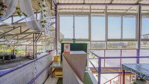 A greenhouse with a glass ceiling, a wooden counter, and a variety of plants. - OYO 90352 Villa Agape 2 (Cipanas)