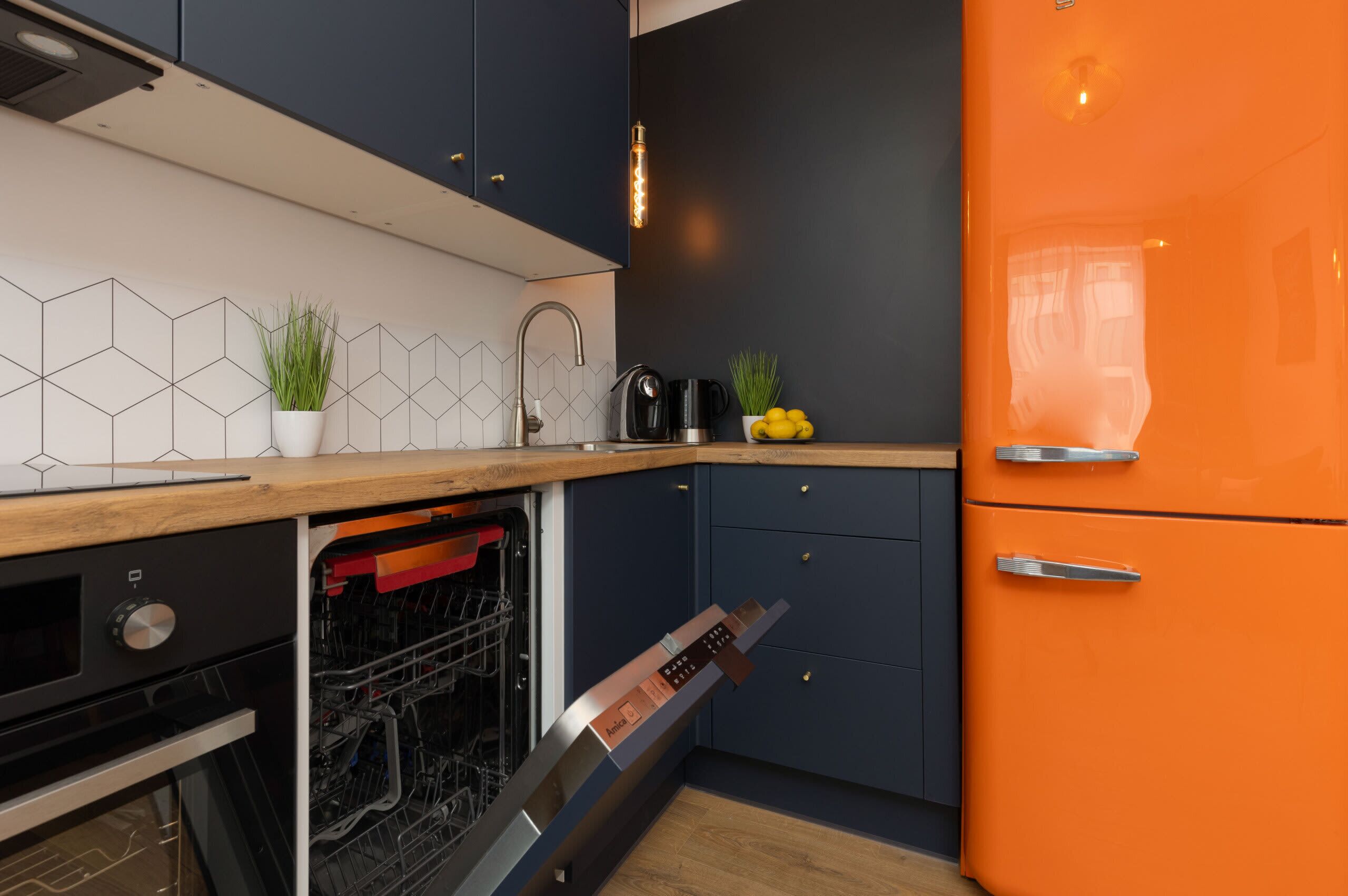 Fridge, oven, stovetop, dishwasher