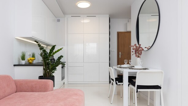 A modern, compact living space with a pink sofa, a dining table with chairs, a potted plant, and a mirror on the wall.
